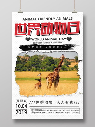 白色简洁世界动物日海报